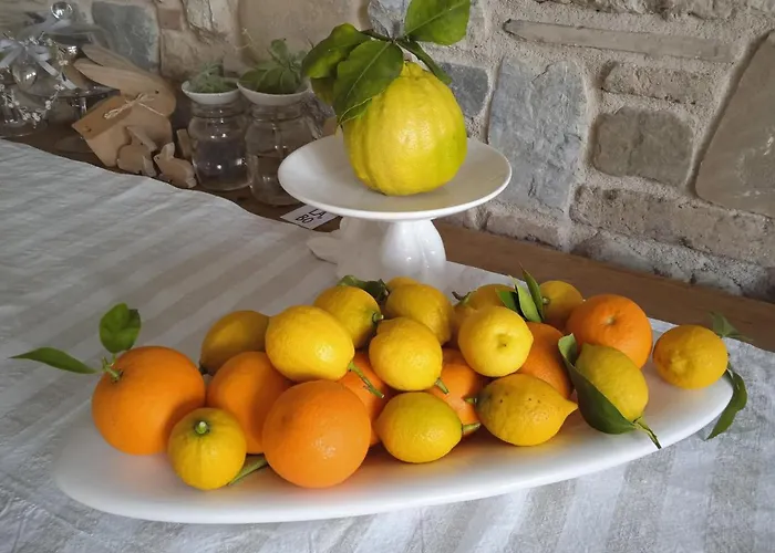 Frühstückspension Il Fienile